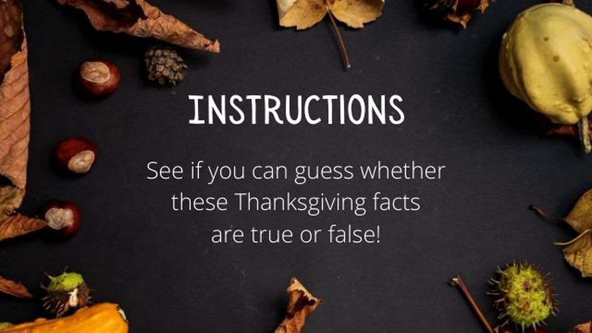 Is It True Thanksgiving Edition image number null